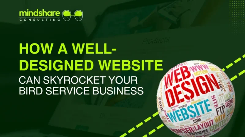 Bird Service Website Design