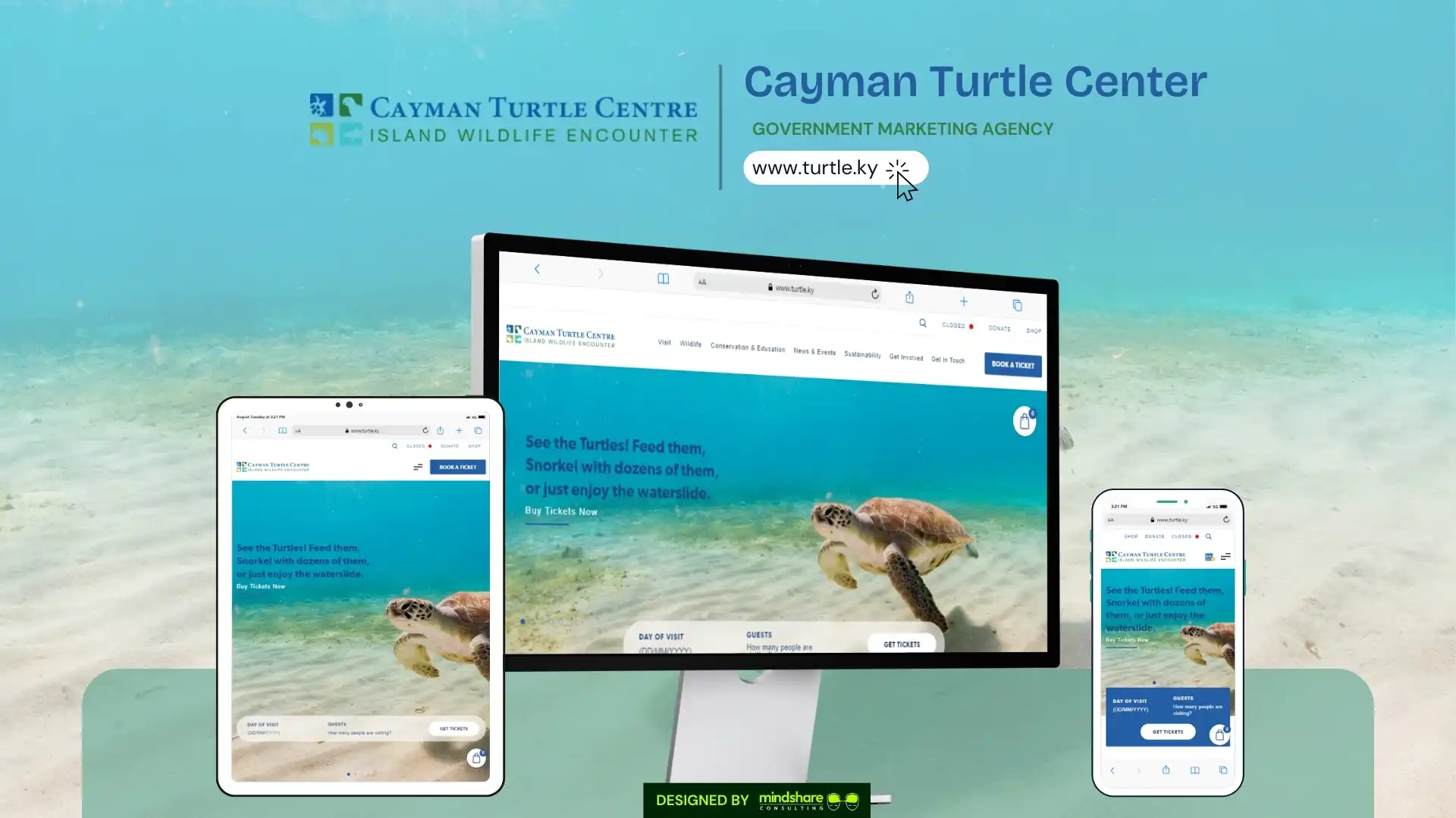 Cayman Turtle Center website development project by Mindshare Consulting Inc